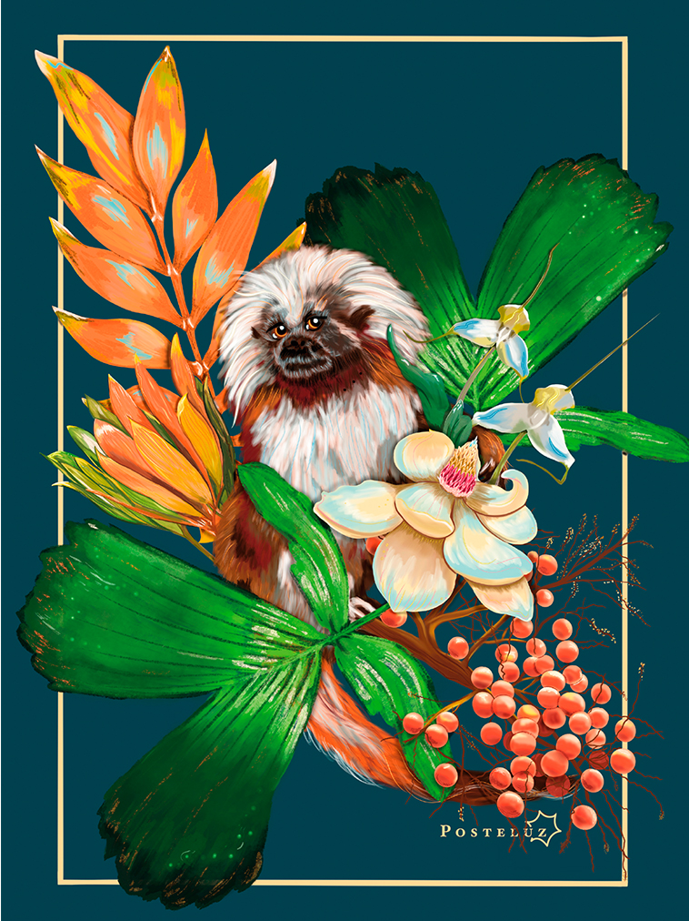Ilustración Libro Rojo - Posteluz AR